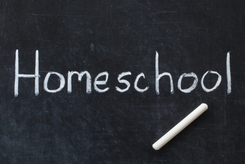 Homeschooling UK